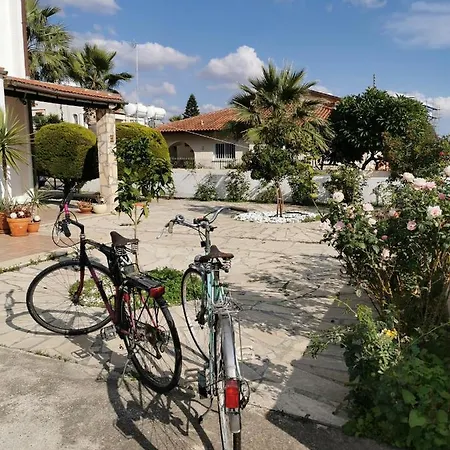 Cosy Detached Vacation House, Close To The Beach, With Bbq And Private Garden